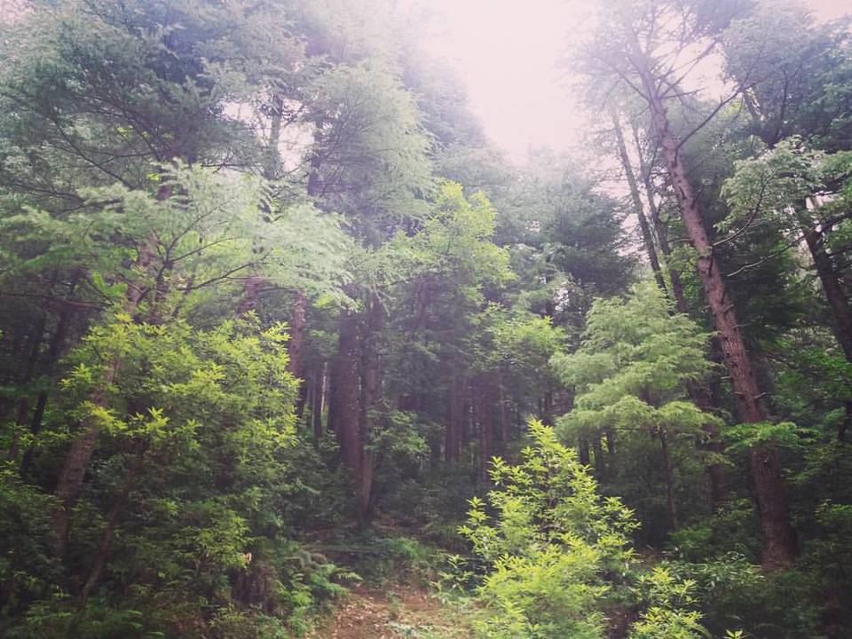 Photo of Dalhousie - Get the Best out of the Place in just 2 Days 8/14 by Arpita Mukherjee