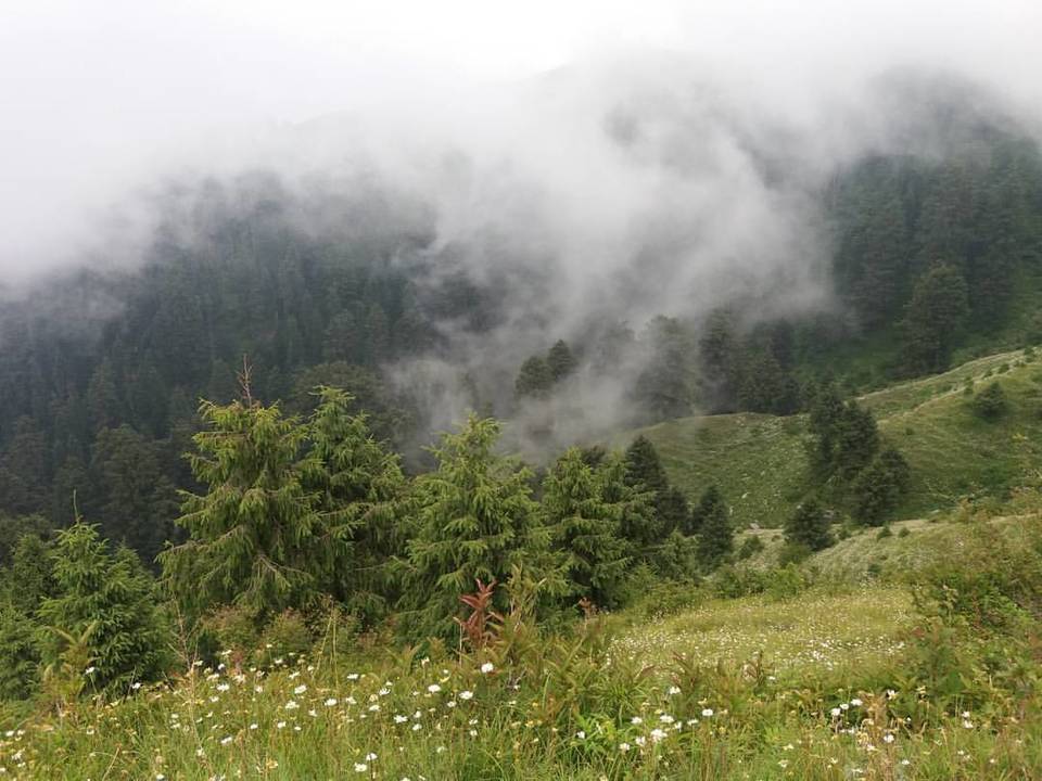 Photo of Dalhousie - Get the Best out of the Place in just 2 Days 9/14 by Arpita Mukherjee