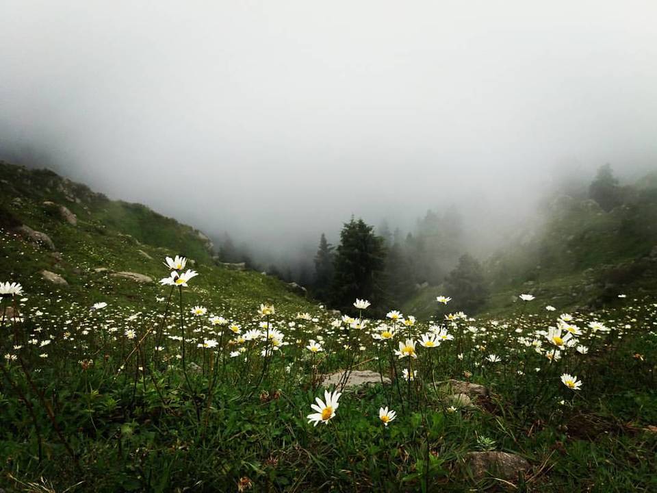 Photo of Dalhousie - Get the Best out of the Place in just 2 Days 13/14 by Arpita Mukherjee