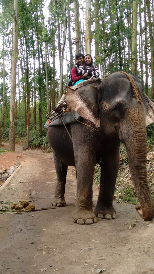 Photo of Munnar is Perfect for A Romantic Laid-Back Holiday 5/13 by Arpita Mukherjee