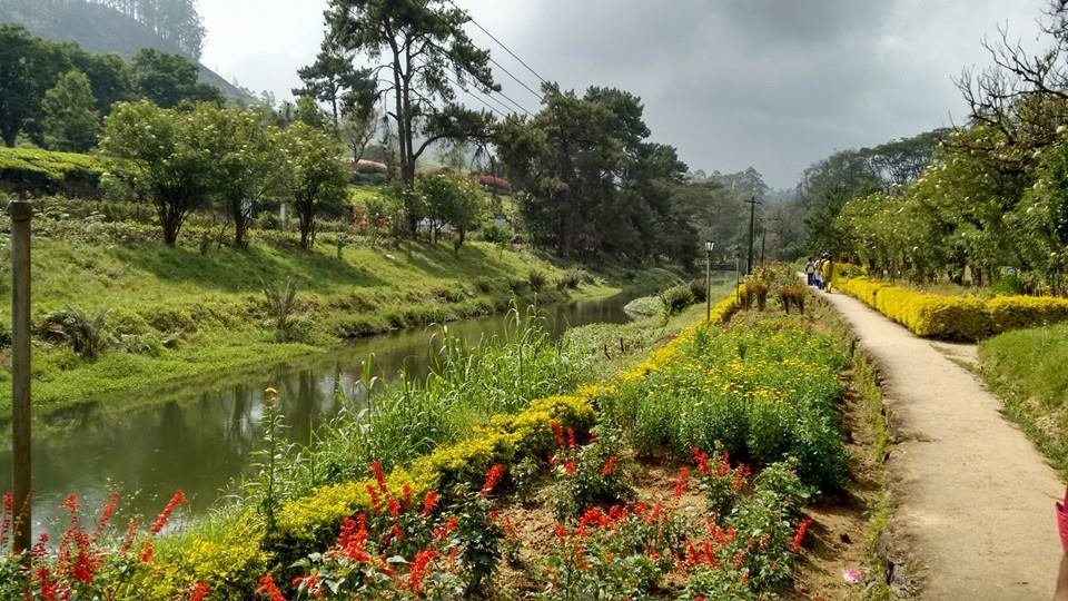 Photo of Munnar is Perfect for A Romantic Laid-Back Holiday 8/13 by Arpita Mukherjee