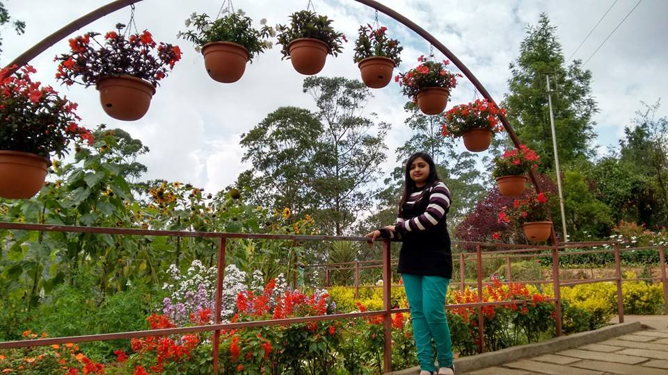 Photo of Munnar is Perfect for A Romantic Laid-Back Holiday 11/13 by Arpita Mukherjee