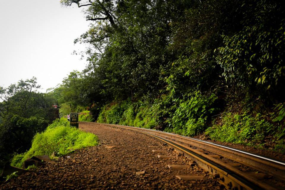 Photo of Trailing Nature with Matheran 9/16 by Neha Aggarwal
