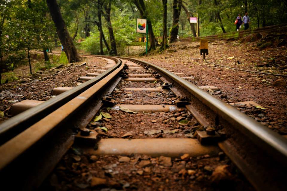 Photo of Trailing Nature with Matheran 8/16 by Neha Aggarwal
