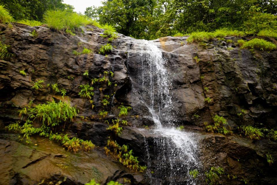 Photo of Trailing Nature with Matheran 3/16 by Neha Aggarwal