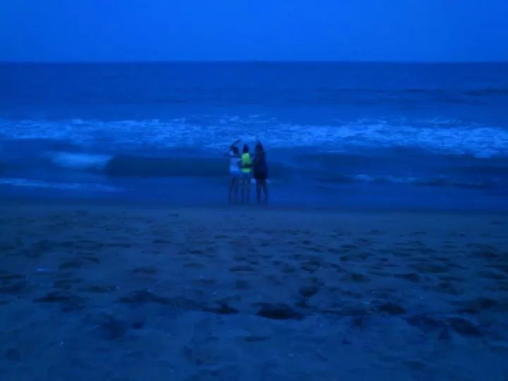 Photo of Auroville Beach, Villupuram, Tamil Nadu, India by Nitika Sharma