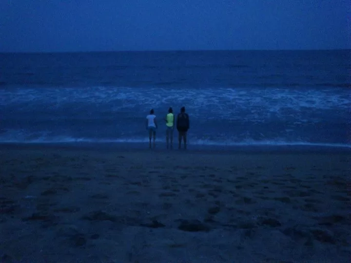 Photo of Auroville Beach, Villupuram, Tamil Nadu, India by Nitika Sharma