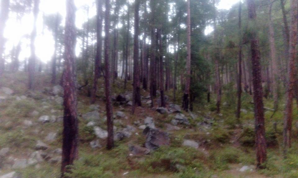 Photo of In the mystic land of Chalal, two girls enjoyed their solo trip together by Anvesha Gunjan