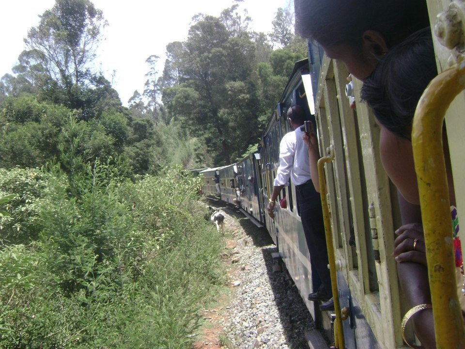 Photo of Ten things to do in Ooty 7/8 by Kasturi Karuna