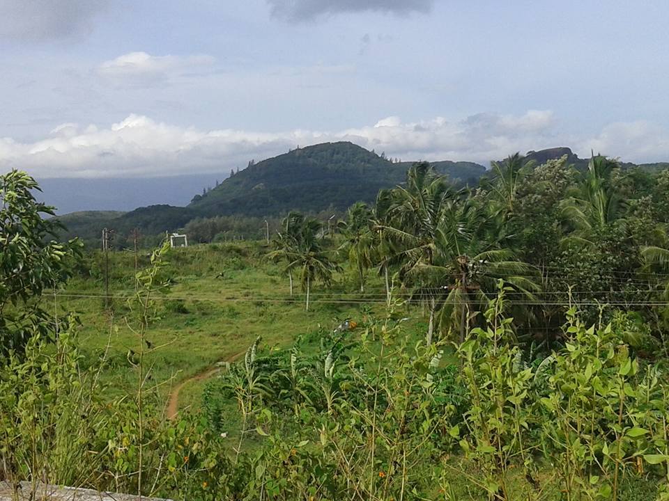 Photo of A trip to Kerala 3/5 by Prajakta Moray