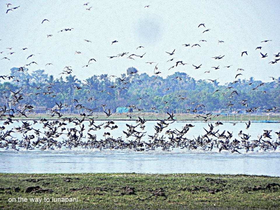 Photo of Coastal Trek – Puri to Brahmpur 2013 by Souvo Chowdhury