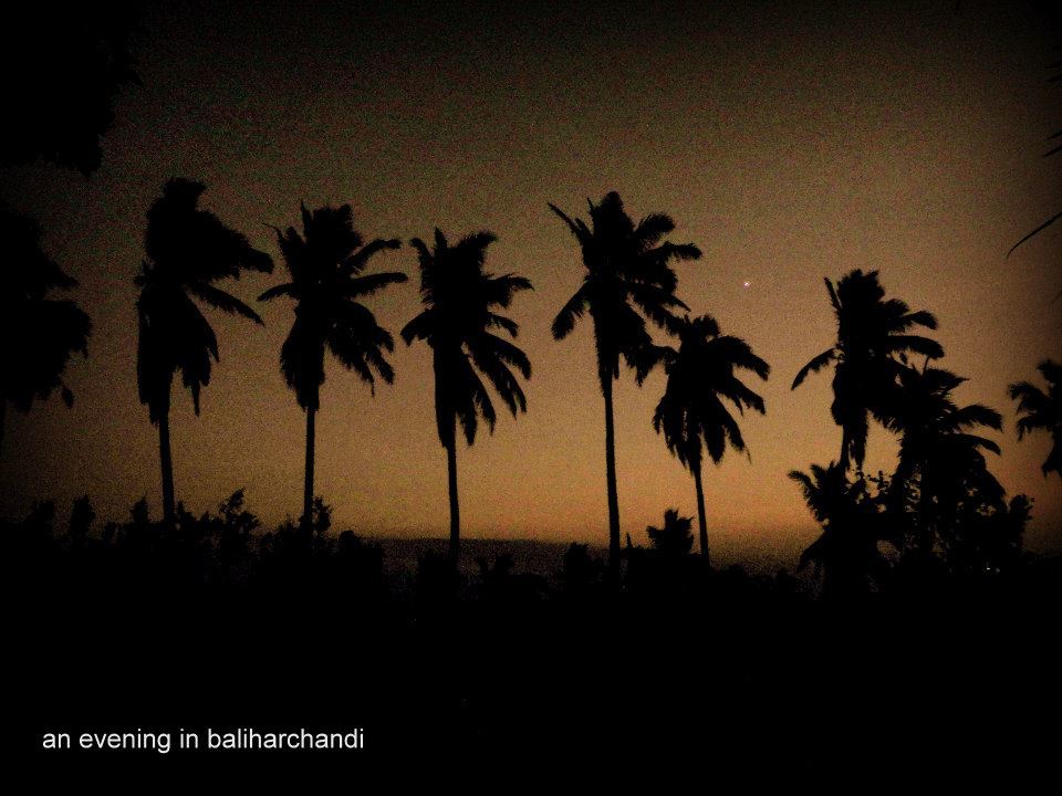 Photo of Coastal Trek – Puri to Brahmpur 2013 by Souvo Chowdhury