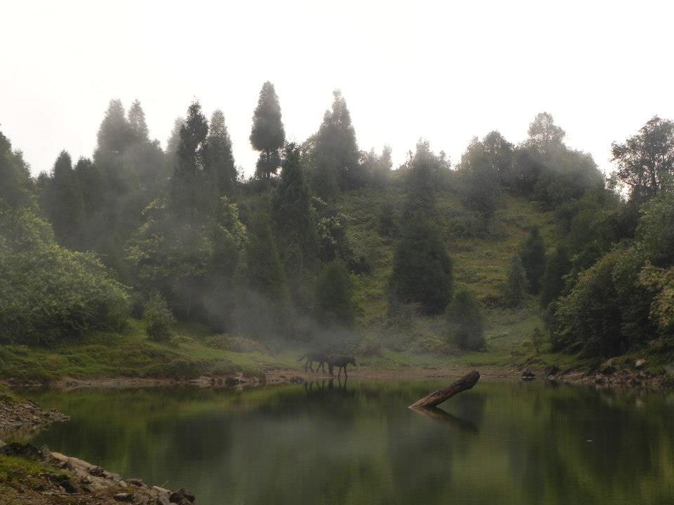Photo of Weekend trek to Mulkarkha (wishing) lake – Sikkim 5/7 by Souvo Chowdhury