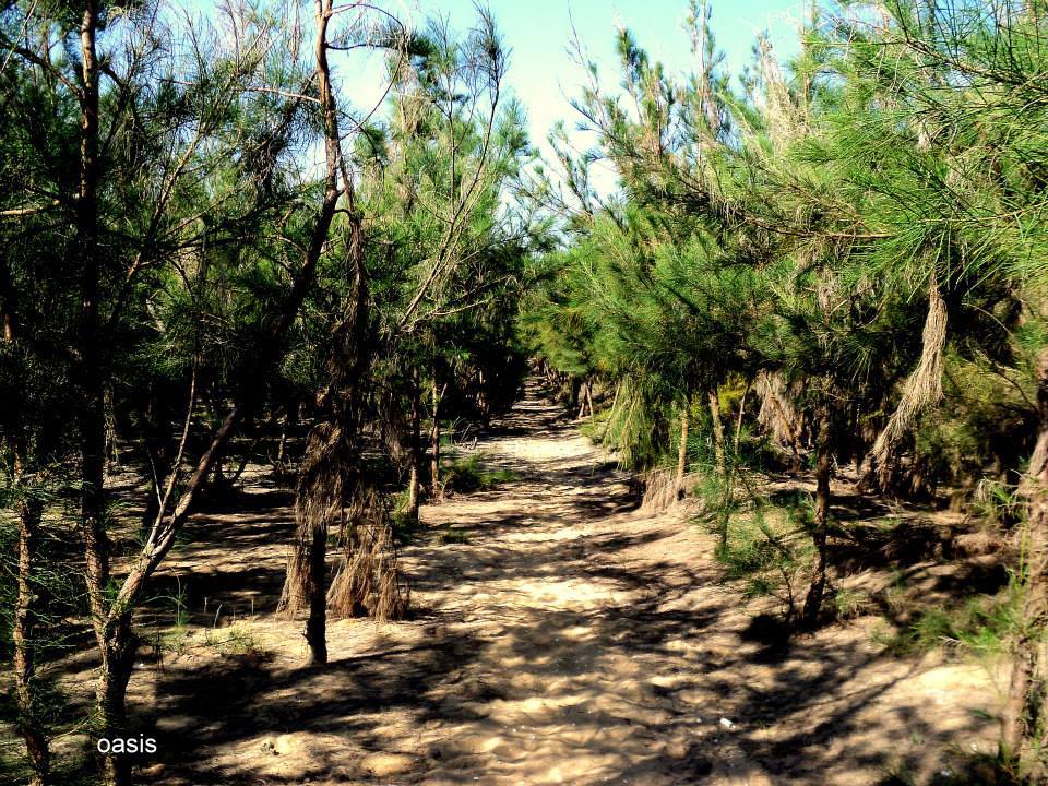 Photo of Coastal Trek – Puri to Brahmpur 2013 by Souvo Chowdhury
