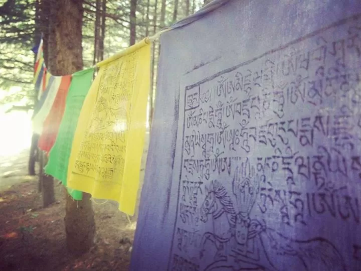Photo of Kasol, Himachal Pradesh, India by travelgirl