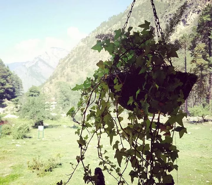 Photo of Kasol, Himachal Pradesh, India by travelgirl