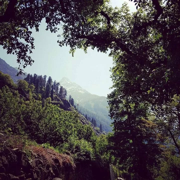 Photo of Kasol, Himachal Pradesh, India by travelgirl