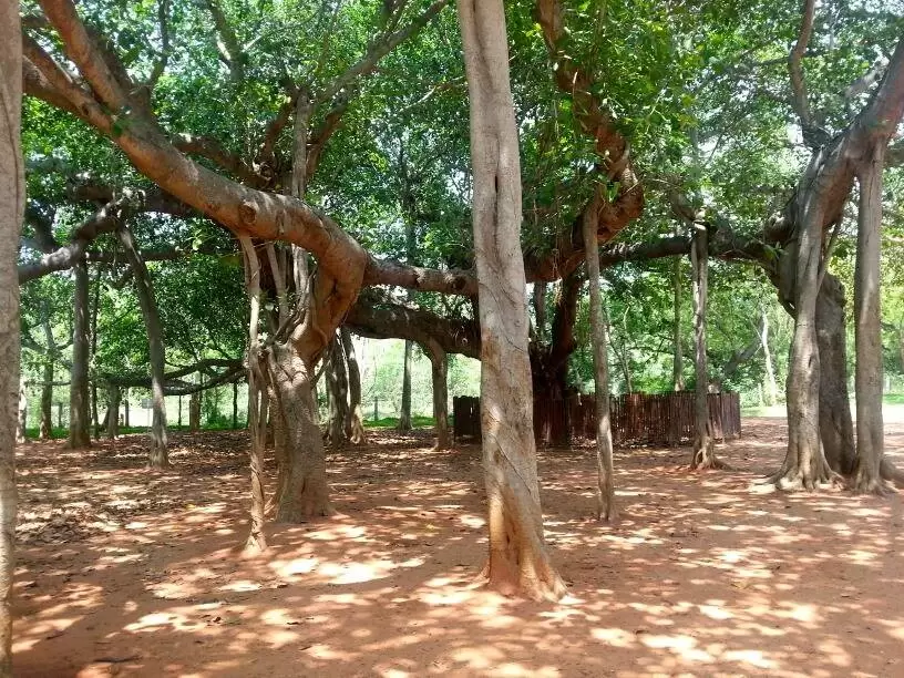 Photo of Pondichéry, Puducherry, India by Nor Amanah