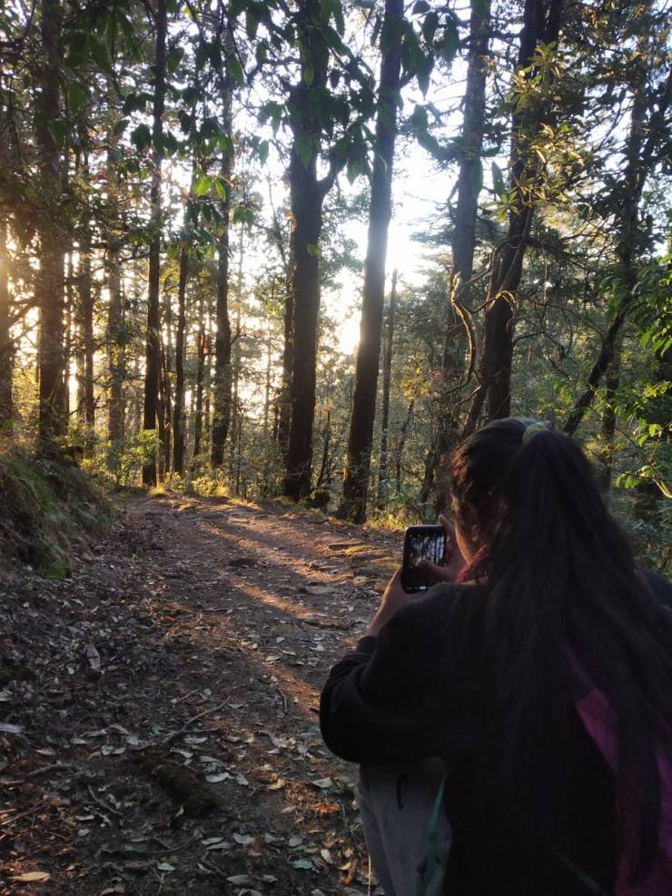 Photo of Binsar, Uttarakhand, India by Ritura Biswas