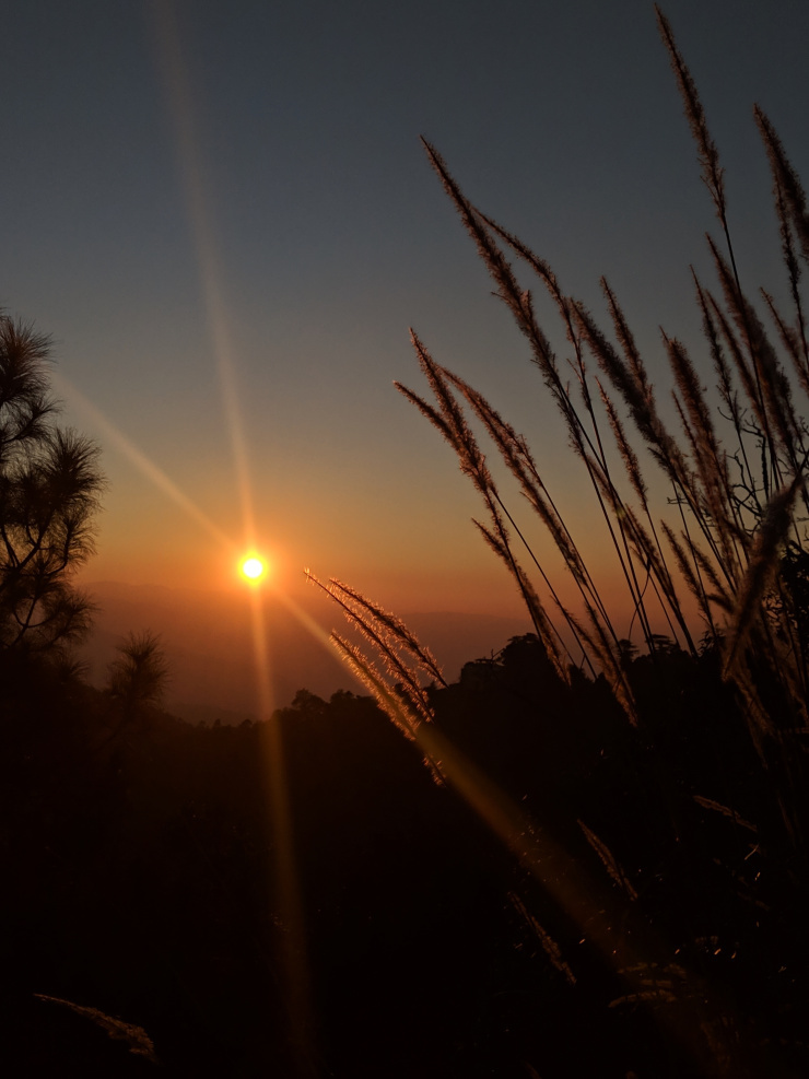 Photo of Binsar, Uttarakhand, India by Ritura Biswas