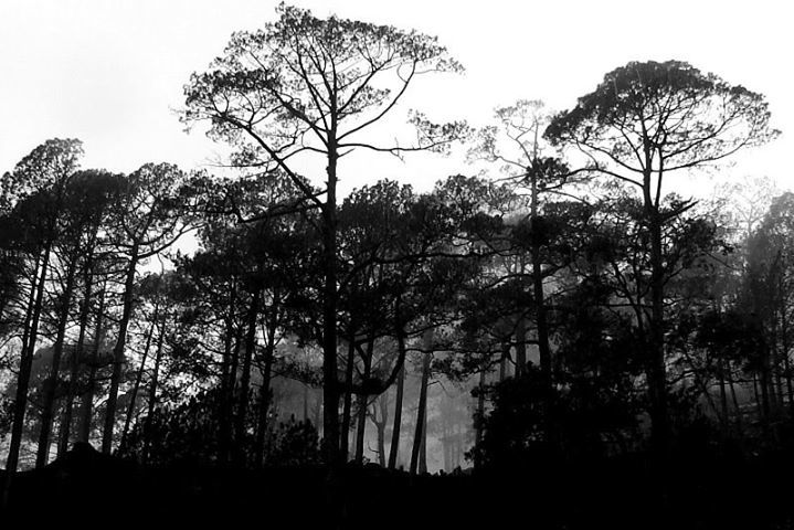 Photo of Naukuchia Taal, Nainital, Uttarakhand, India by Saurabh Agrawal