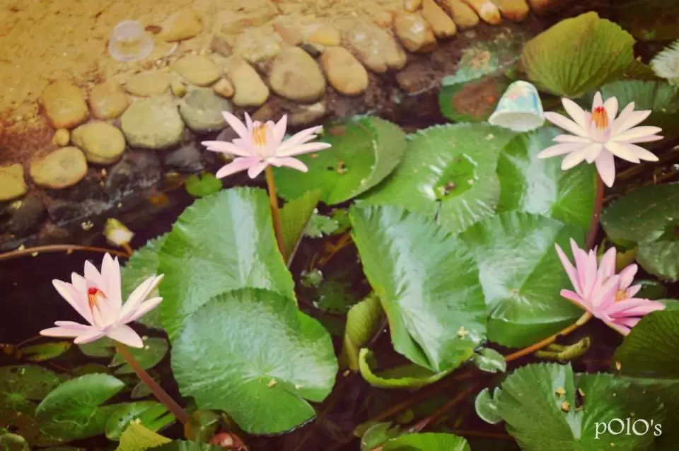 Photo of Manipal by Poulamee-thekhaiikhaiigirltravels