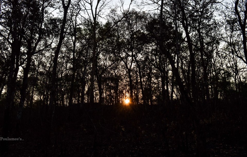 Photo of Amidst Nature~ A weekend in Dandeli 9/16 by Poulamee-thekhaiikhaiigirltravels