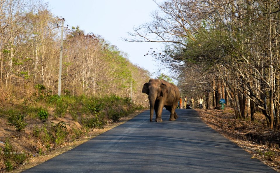 Photo of Amidst Nature~ A weekend in Dandeli 13/16 by Poulamee-thekhaiikhaiigirltravels