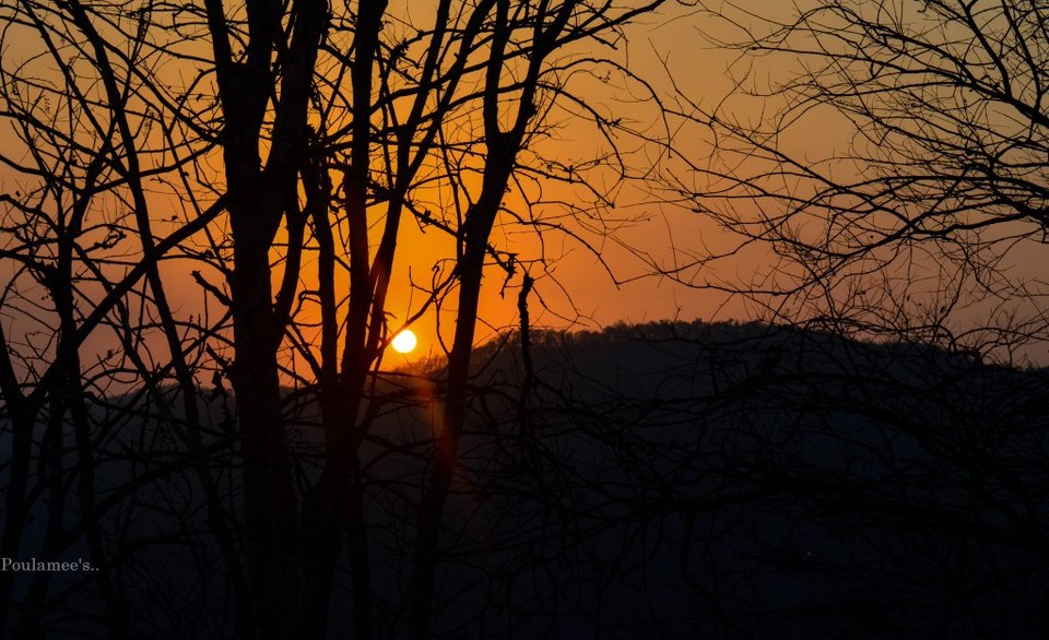 Photo of Amidst Nature~ A weekend in Dandeli 14/16 by Poulamee-thekhaiikhaiigirltravels