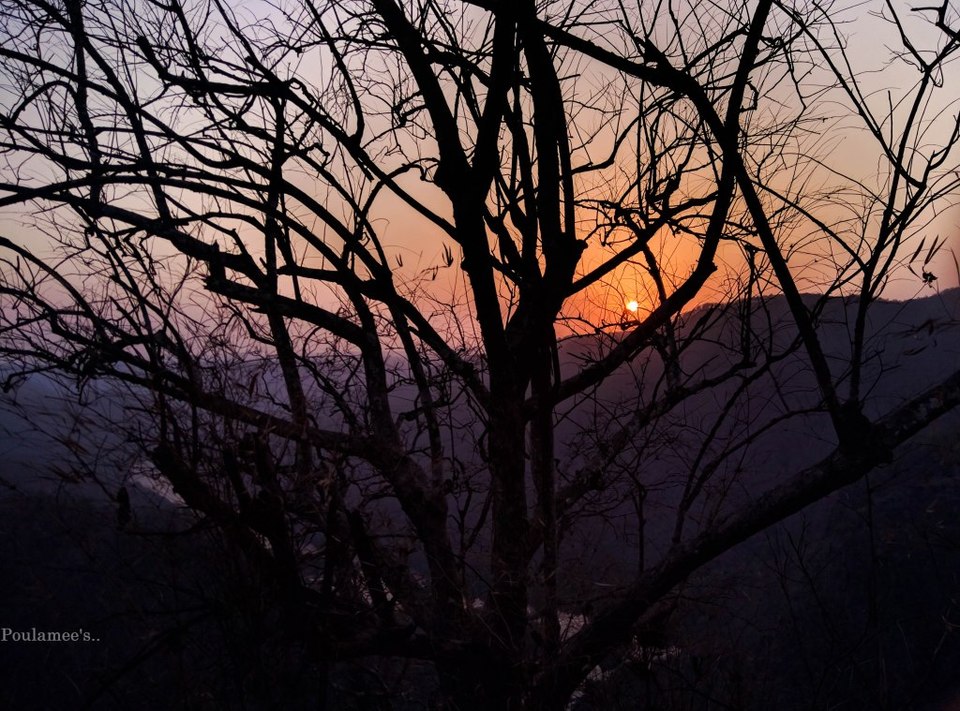 Photo of Amidst Nature~ A weekend in Dandeli 15/16 by Poulamee-thekhaiikhaiigirltravels