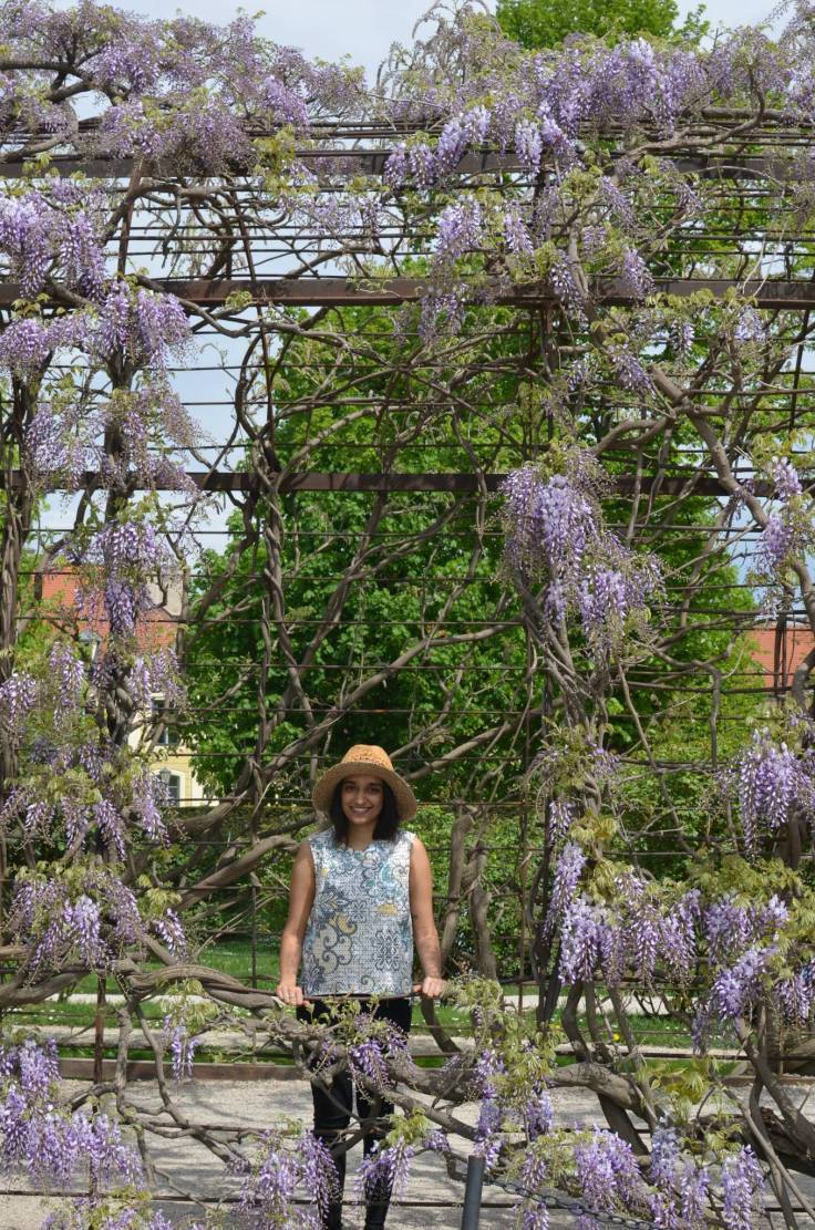 Photo of Travel Diaries – Trip to Austria 4/55 by Ankita Mehta