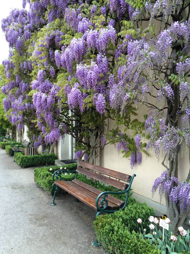 Photo of Travel Diaries – Trip to Austria 2/55 by Ankita Mehta