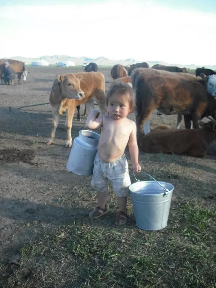 Photo of Mongolia by Lisi Percival
