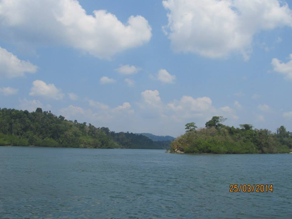 Photo of Beauties of Nature by Dwipayan Daz