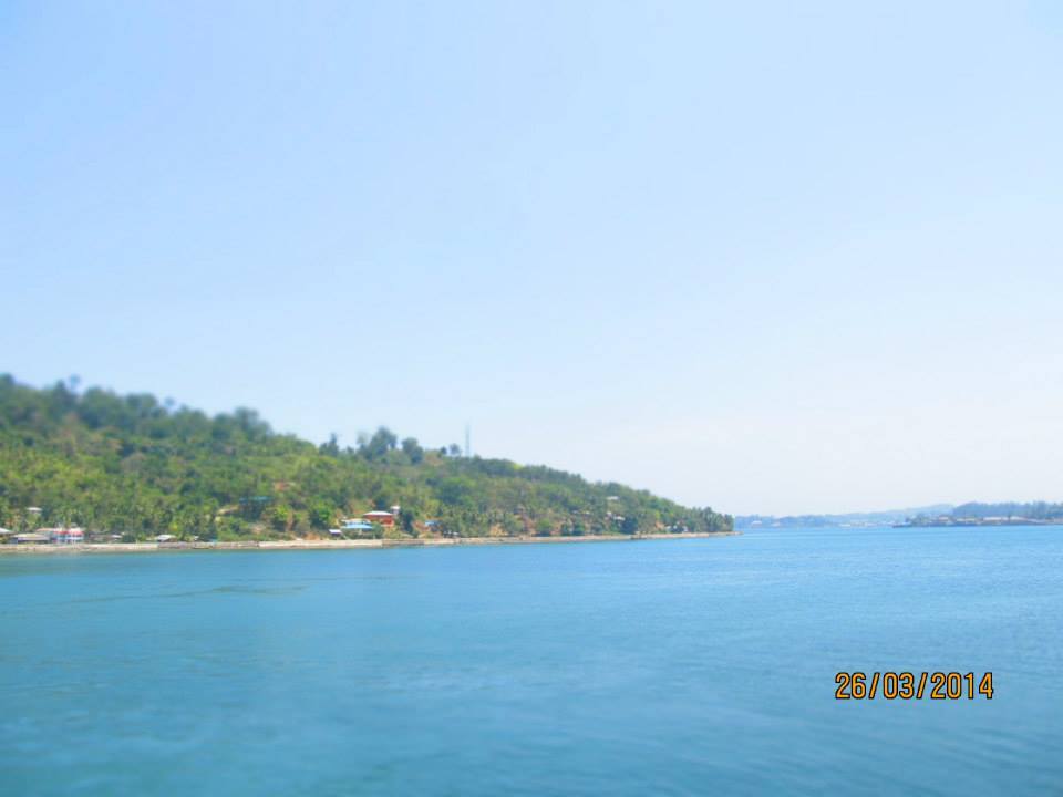 Photo of Beauties of Nature by Dwipayan Daz