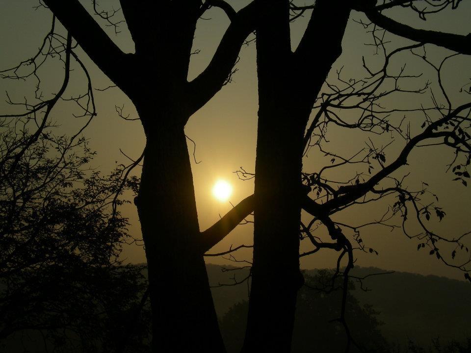 Photo of R'bore Jungle by Manpreet Sahota