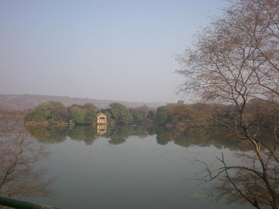 Photo of R'bore Jungle by Manpreet Sahota