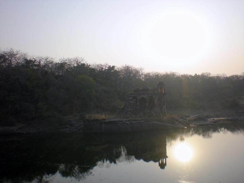 Photo of R'bore Jungle by Manpreet Sahota