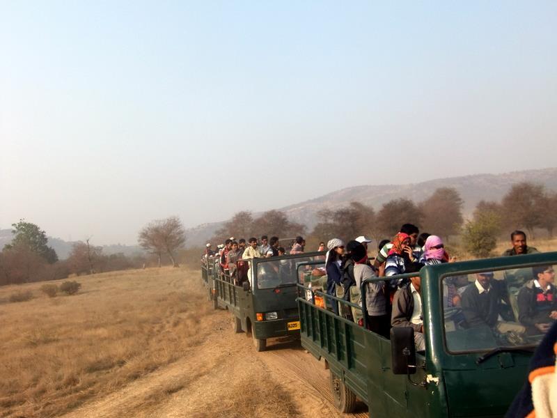 Photo of R'bore Jungle by Manpreet Sahota