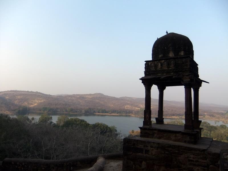 Photo of R'bore Jungle by Manpreet Sahota