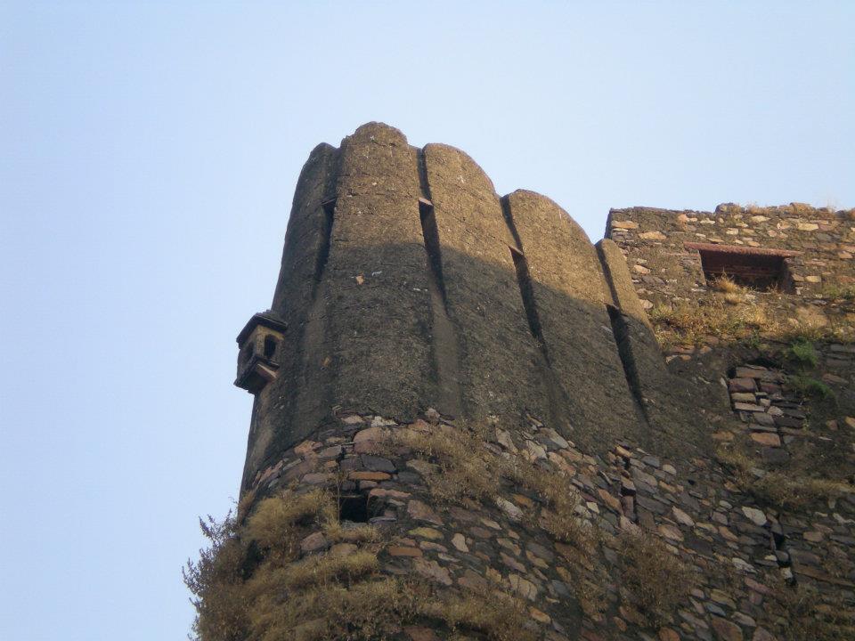 Photo of R'bore Jungle by Manpreet Sahota