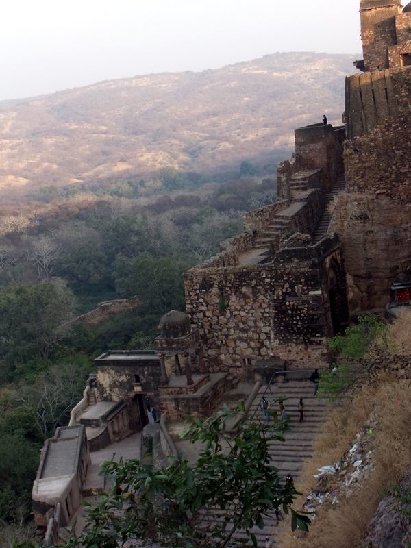 Photo of R'bore Jungle by Manpreet Sahota