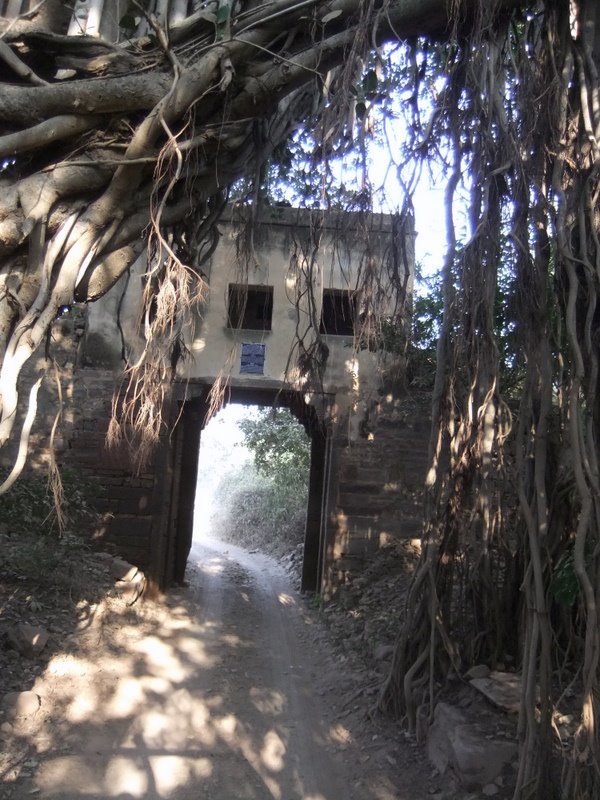 Photo of R'bore Jungle by Manpreet Sahota