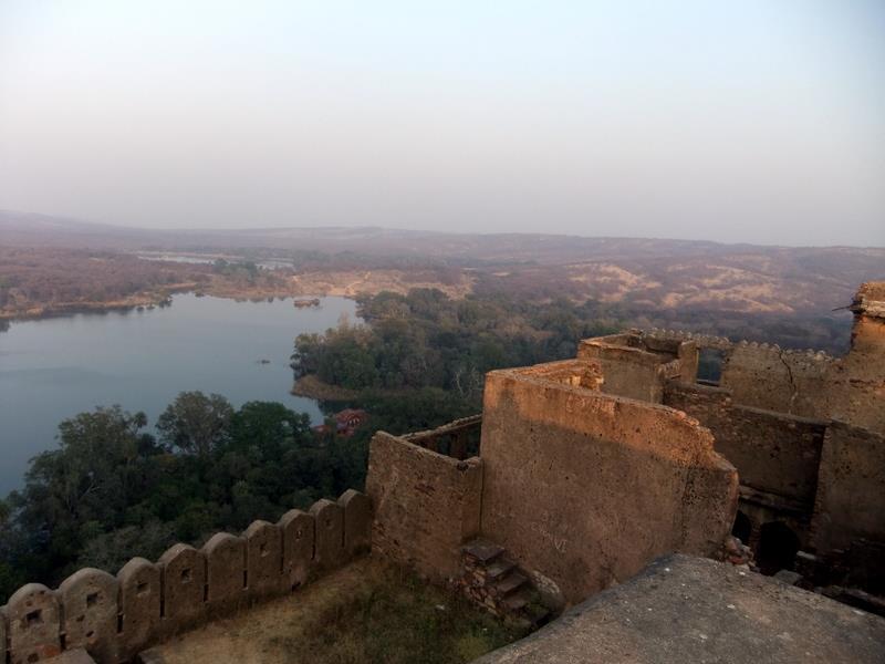 Photo of R'bore Jungle by Manpreet Sahota