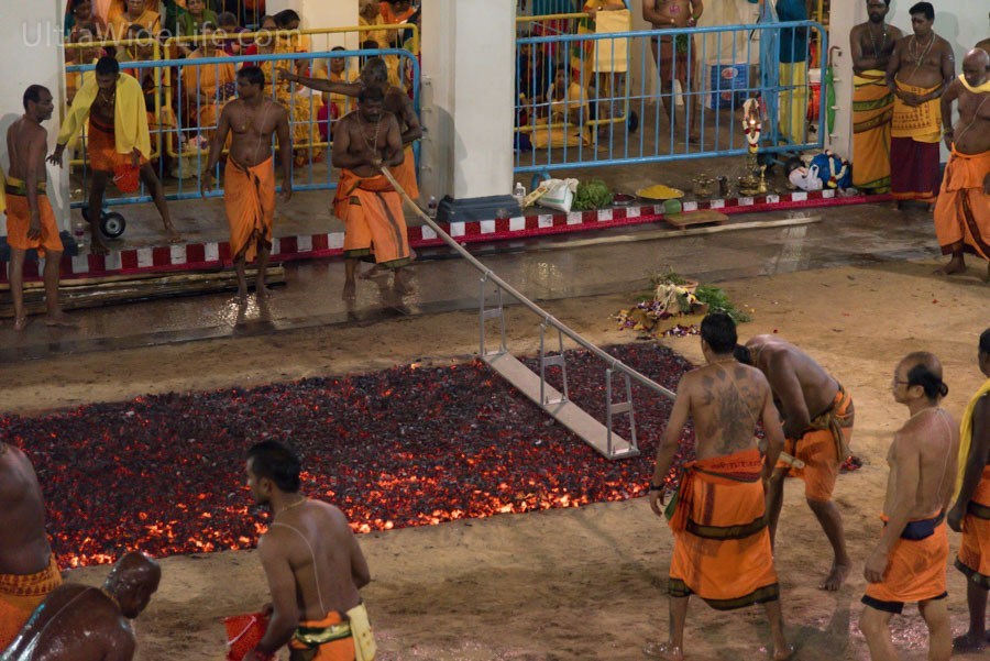 Photo of Thimithi in Singapore – A Firewalking Ceremony 10/11 by Ankur