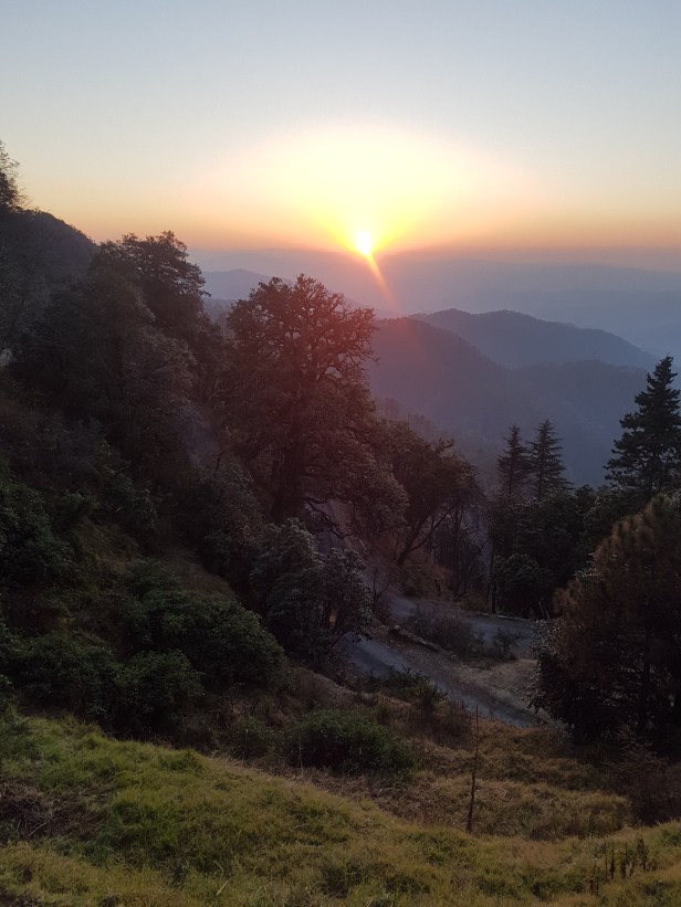 Photo of Our 'Dera' in the wilderness: Binsar (Part 1) by Varnika