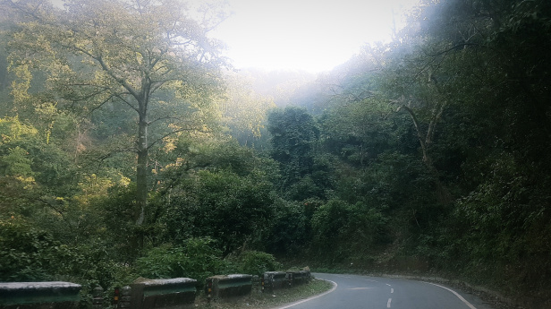 Photo of Our 'Dera' in the wilderness: Binsar (Part 1) by Varnika