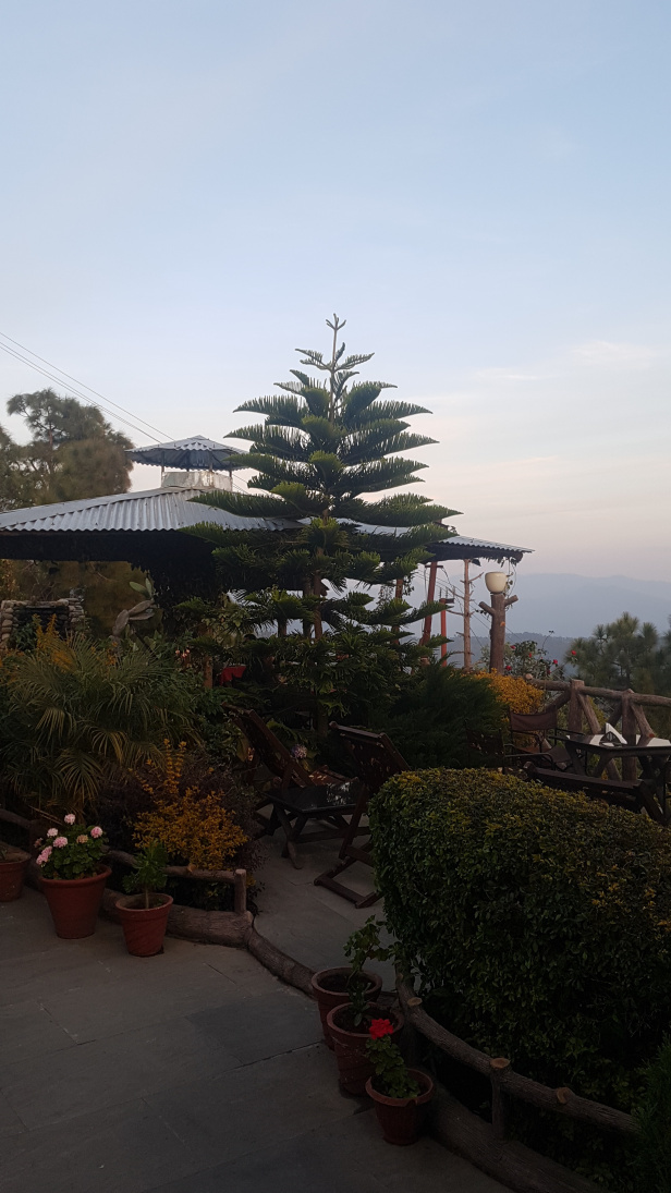 Photo of Our 'Dera' in the wilderness: Binsar (Part 1) by Varnika