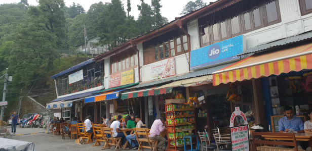 Photo of Landour: Rooted deep inside me... 10/14 by Varnika