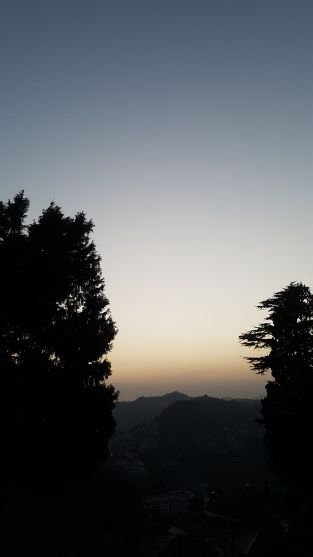Photo of Landour: Rooted deep inside me... 11/14 by Varnika